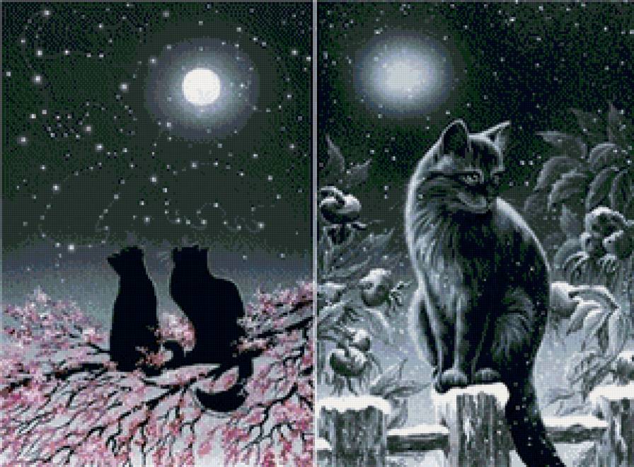 коты - кот, животные, кошка - предпросмотр