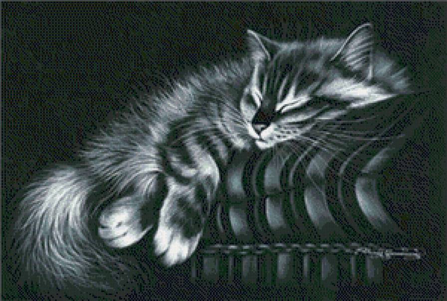 коты - кошка, животные, кот - предпросмотр