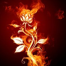 Схема вышивки «пламенная роза 2»