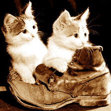 сидим в ботинке