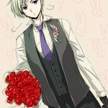 Схема вышивки «норвегия»