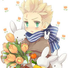 Схема вышивки «Нидерланды»