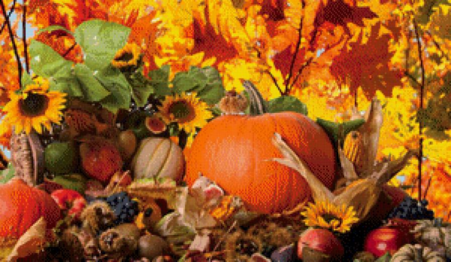 фрукты и овощи - фрукты, осень, овощи, урожай, подсолнухи - предпросмотр