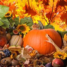 Схема вышивки «фрукты и овощи»