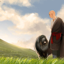 Схема вышивки «тибет»