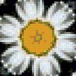 Предпросмотр схемы вышивки «Ромашки» (№761930)