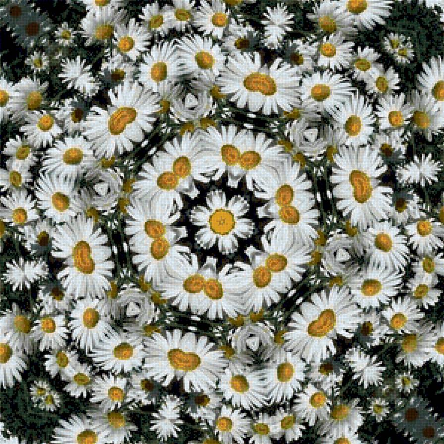 Ромашки - узор для подушки - предпросмотр