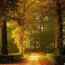 Схема вышивки «osen'»