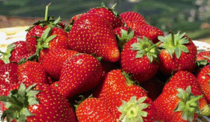 клубника - ягоды, клубника - предпросмотр