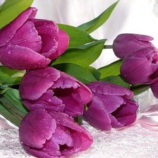 Схема вышивки «тюльпаны»