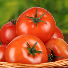 Схема вышивки «томаты»