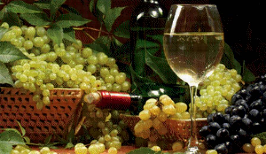 виноград и вино - виноград, вино - предпросмотр