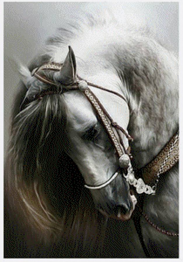 Строптивый конь - лошшади - предпросмотр