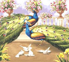 Схема вышивки «Павлиний сад»