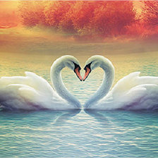 Схема вышивки «Лебеди. Символ любви и верности.»