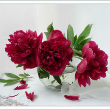 Схема вышивки «піони»