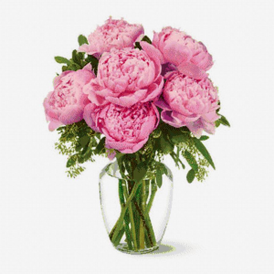 піони - предпросмотр