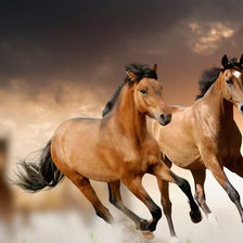 Схема вышивки «лошади»