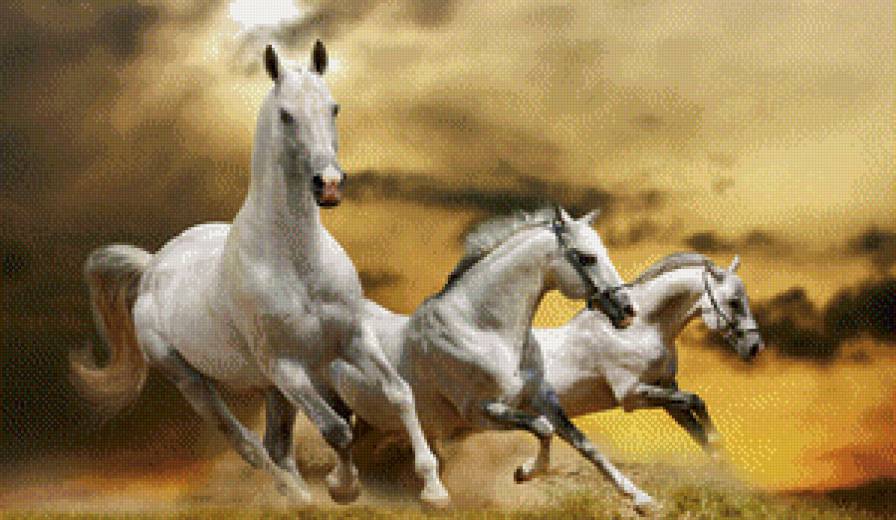 лошади - кони, лошади - предпросмотр