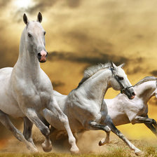 Схема вышивки «лошади»