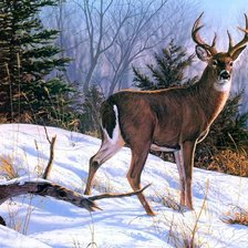 Схема вышивки «олени»