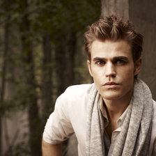 Схема вышивки «Пол Уэсли»