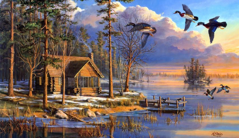 деревня - дом, лес, озеро, деревня, утки - оригинал