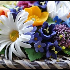 Схема вышивки «полевые цветы»