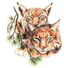 Схема вышивки «Рыси»