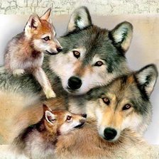 Схема вышивки «волки»