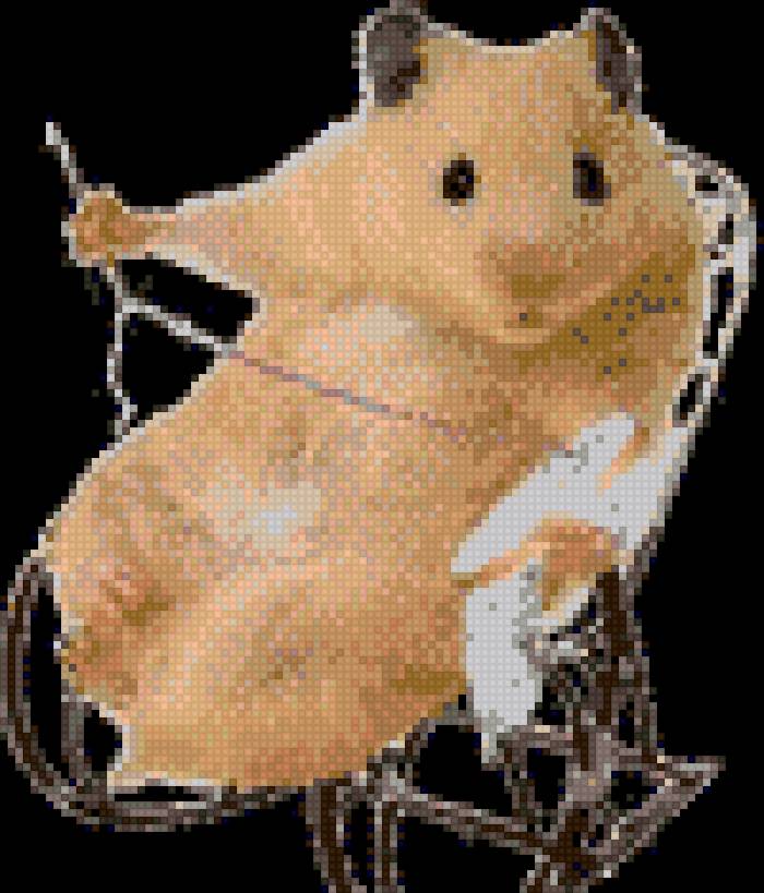 хомяк - предпросмотр