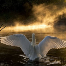 Схема вышивки «getImageFB0K2AJK»