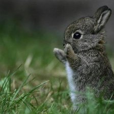 Схема вышивки «№763468»