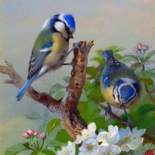 Схема вышивки «синички»