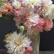 Схема вышивки «розовые георгины»