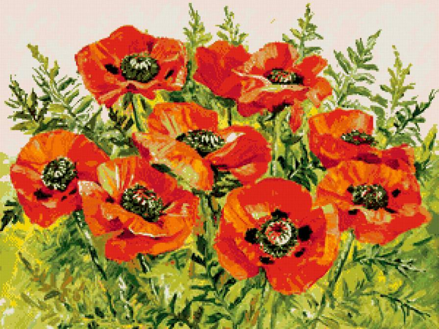 пано маки - природа, маки, пано, цветы - предпросмотр