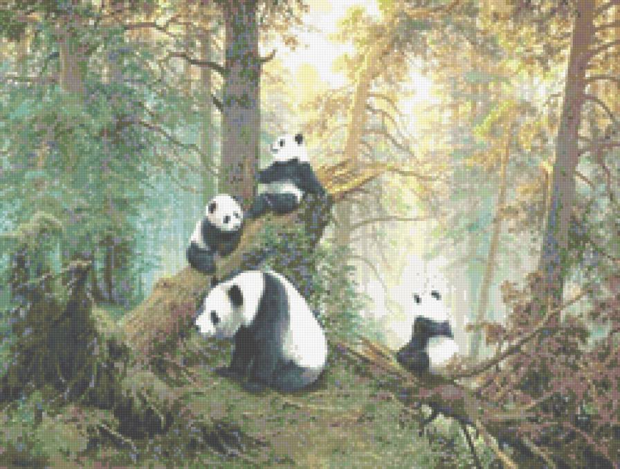 Мишки в лесу - лес, животные, медведь - предпросмотр