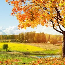 Схема вышивки «Осень»