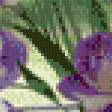 Предпросмотр схемы вышивки «фиалки» (№763687)