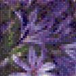 Предпросмотр схемы вышивки «фиалки» (№763699)