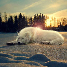 Одиночество.