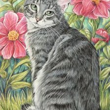 Схема вышивки «кошка»