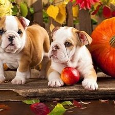 Схема вышивки «№763801»