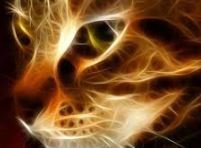 Схема вышивки «cat»