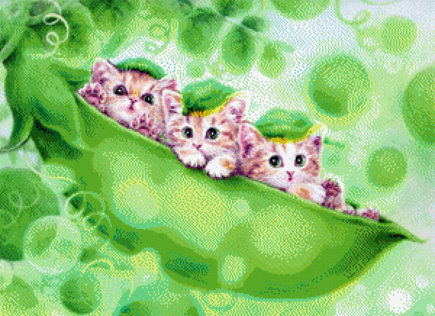 катята - предпросмотр