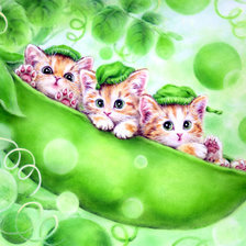 Схема вышивки «катята»