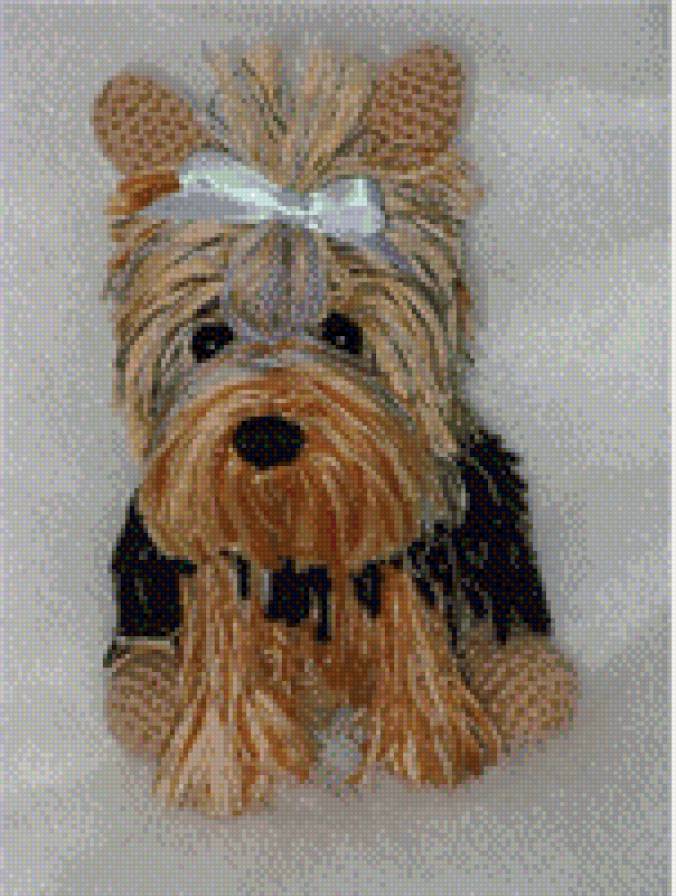 собачка болонка - предпросмотр