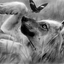 Схема вышивки «№764174»