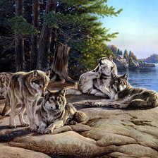 Схема вышивки «№764183»