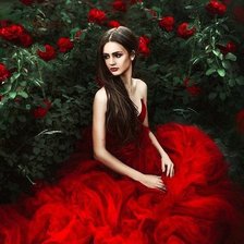 Схема вышивки «№764186»